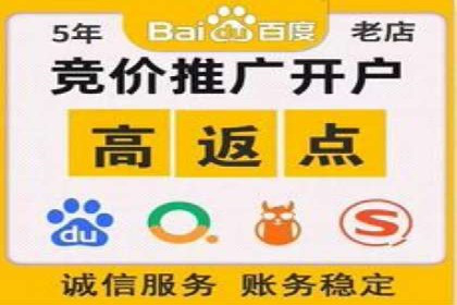 sem代运营公司成功案例：从零到一的营销策略构建